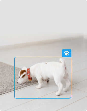 Reolink P320 5MP PoE Bullet Camera official product image