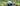 Wide 180° view of a garden driveway with a parked car and a dog