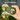 Hand holding the camera with its round screen showing a photo, plus delete and print icons