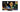 Hisense 55-Inch UR8S RGB Mini LED 180Hz 4K TV Hisense