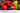 Samsung 55 Inch Neo QLED QN70H 4K Smart TV (2026) (International Version) Samsung